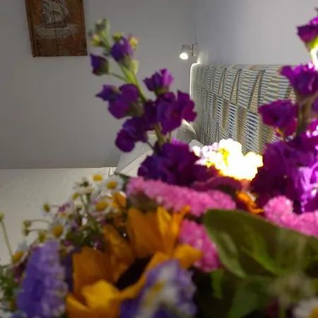 Prázdninový dům Bella Alba