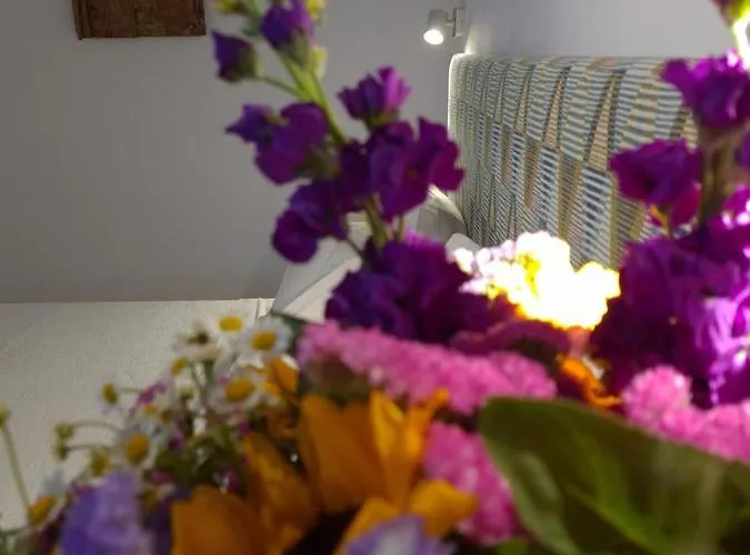 Vakantiehuis Bella Alba